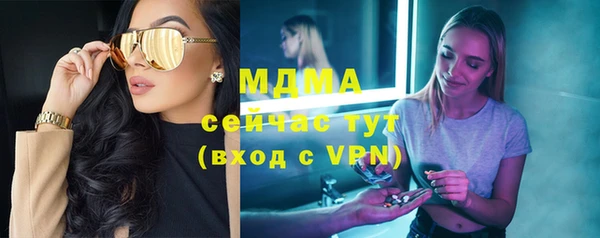 сатива Беломорск
