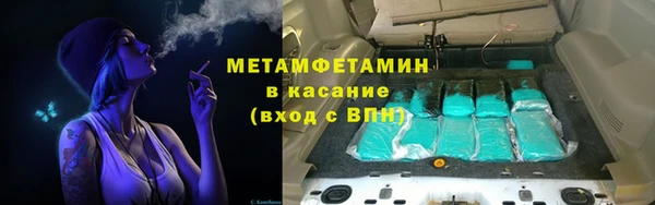 сатива Беломорск