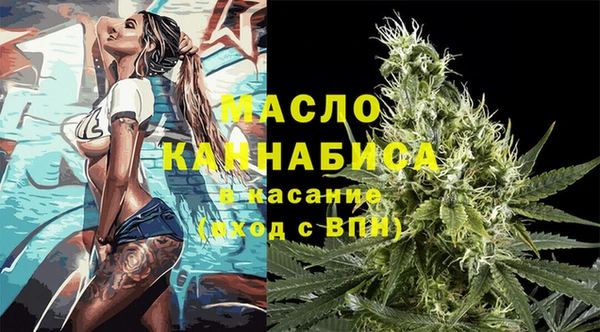 сатива Беломорск