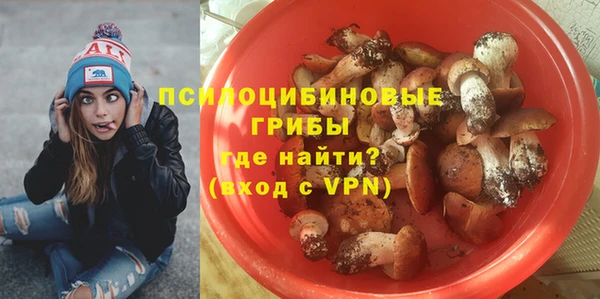 сатива Беломорск