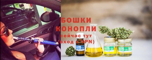 сатива Беломорск