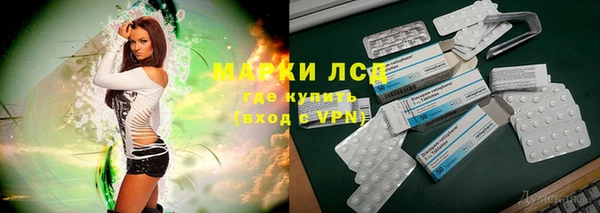 сатива Беломорск